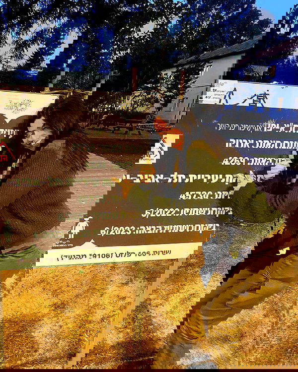 tuliprivet tuliprivet archive image