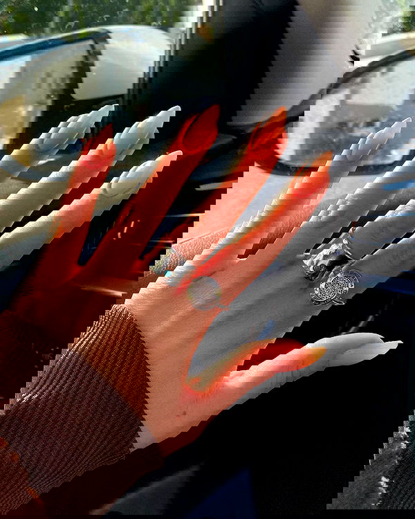 tuliprivet tuliprivet archive image