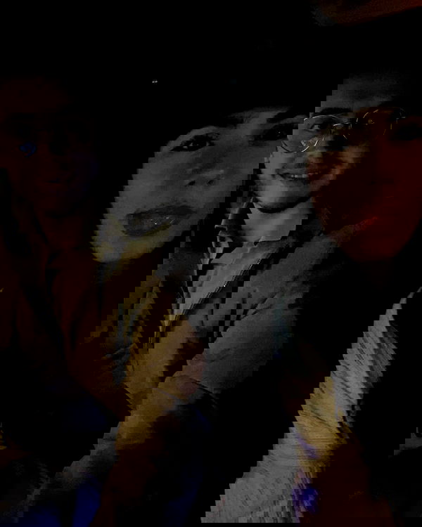 tuliprivet tuliprivet archive image