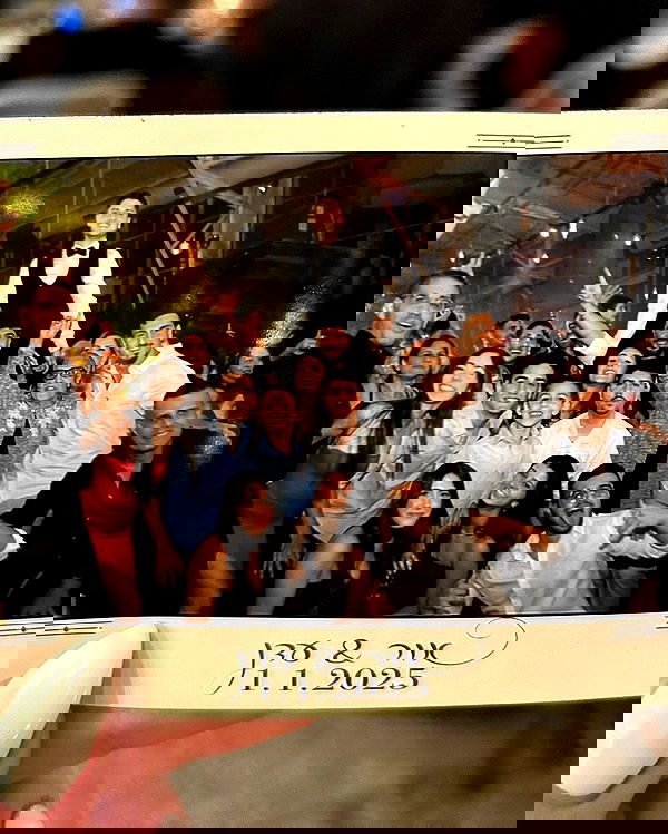 tuliprivet tuliprivet archive image