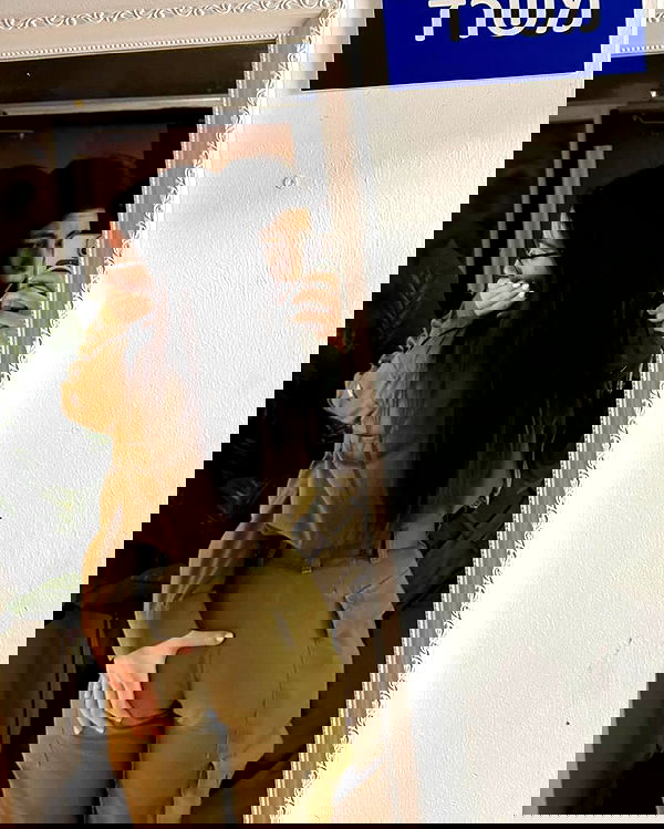 tuliprivet tuliprivet archive image