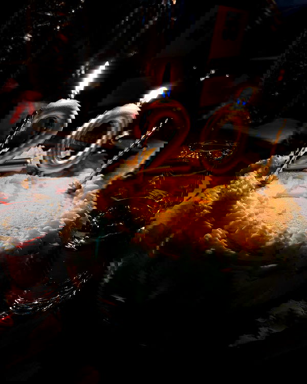 tuliprivet tuliprivet archive image