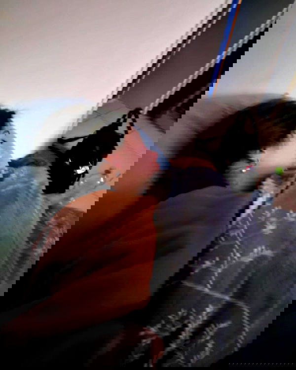 tuliprivet tuliprivet archive image