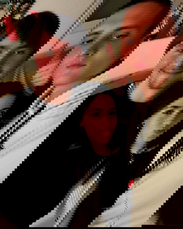 tuliprivet tuliprivet archive image