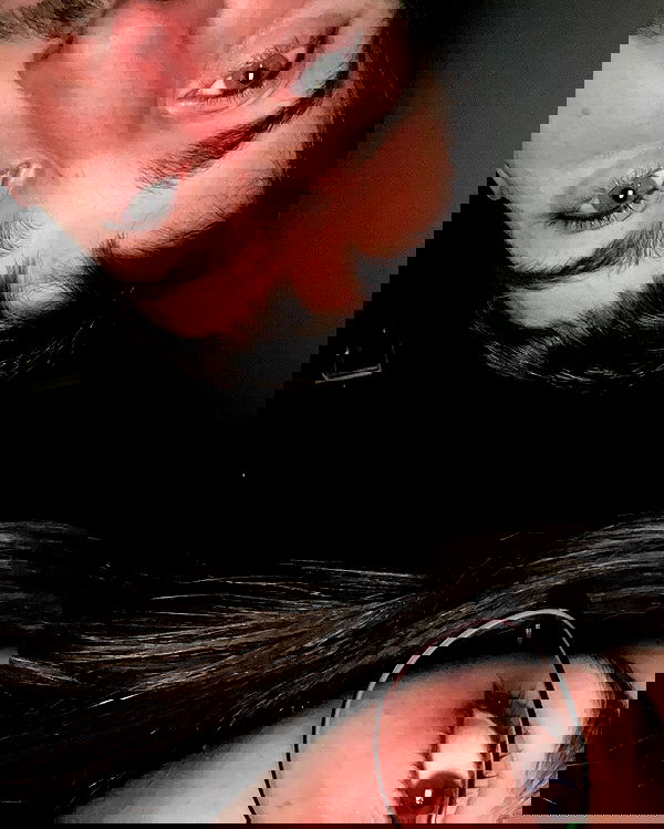 tuliprivet tuliprivet archive image