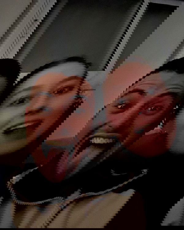 tuliprivet tuliprivet archive image