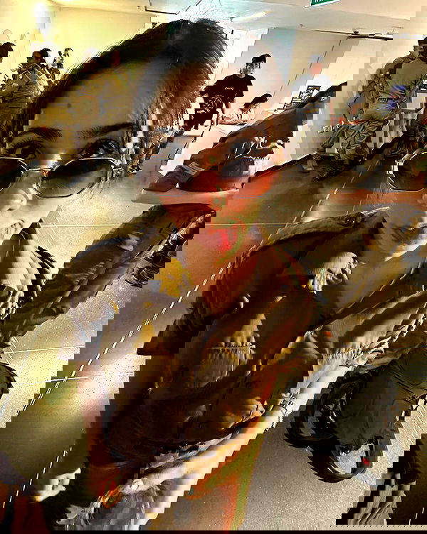 tuliprivet tuliprivet archive image