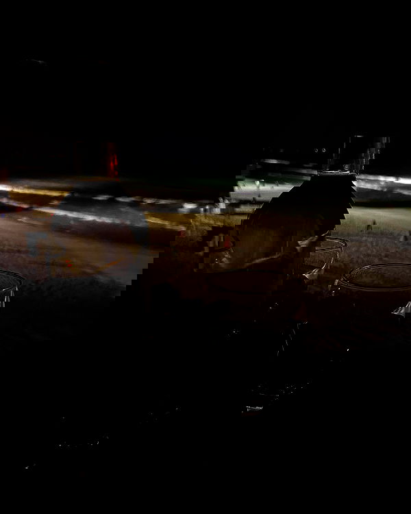 tuliprivet tuliprivet archive image