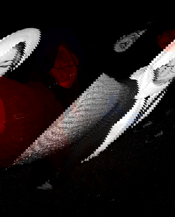 tuliprivet tuliprivet archive image