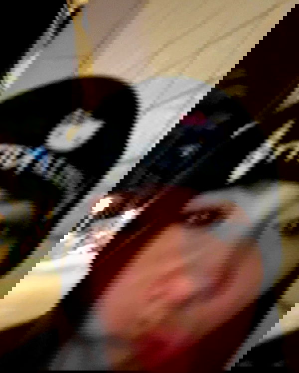 tuliprivet tuliprivet archive image