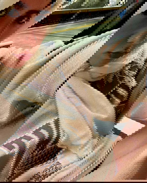 tuliprivet tuliprivet archive image