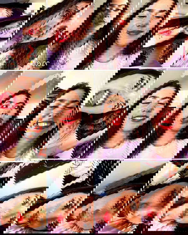 tuliprivet tuliprivet archive image