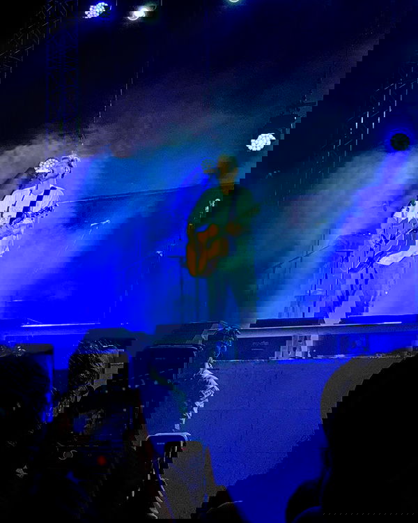 tuliprivet tuliprivet archive image