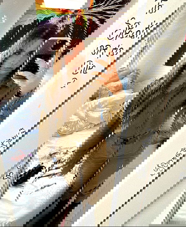 tuliprivet tuliprivet archive image