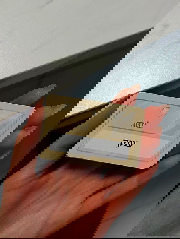 tuliprivet tuliprivet archive image