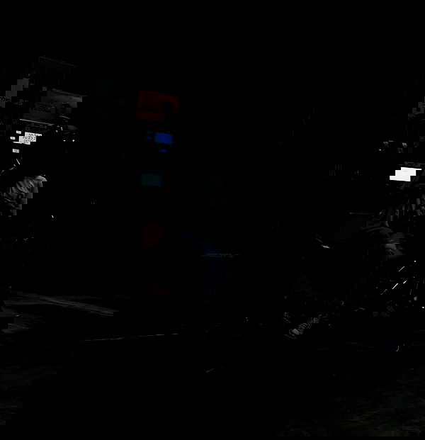 tuliprivet tuliprivet archive image