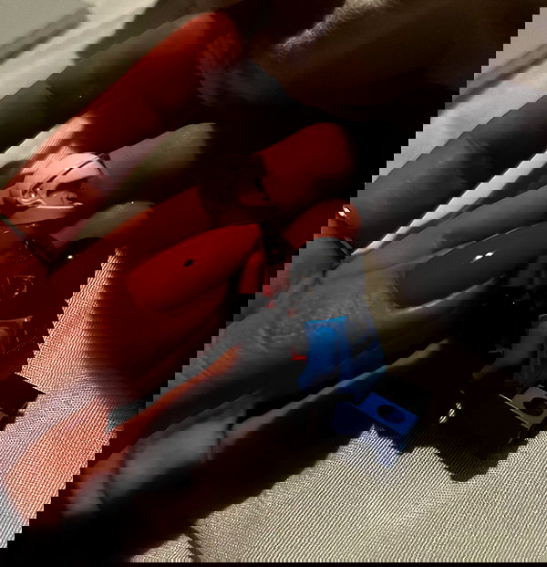 tuliprivet tuliprivet archive image