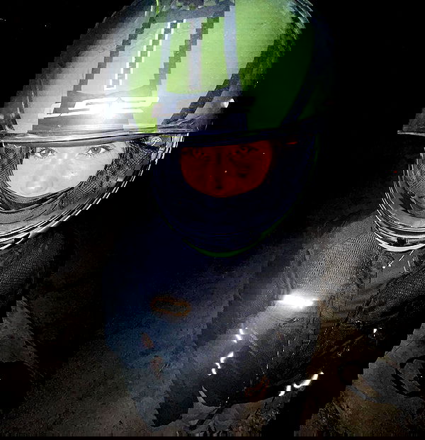 tuliprivet tuliprivet archive image