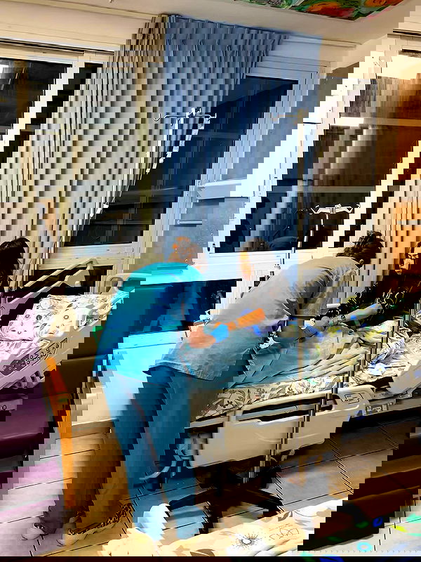 tuliprivet tuliprivet archive image