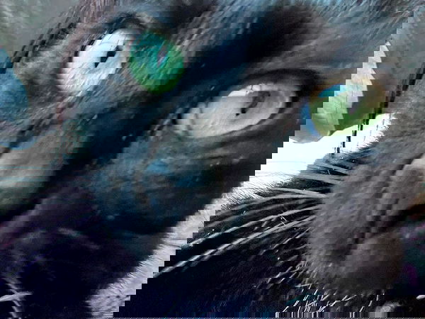 tutiiiiii666 tutiiiiii666 archive image