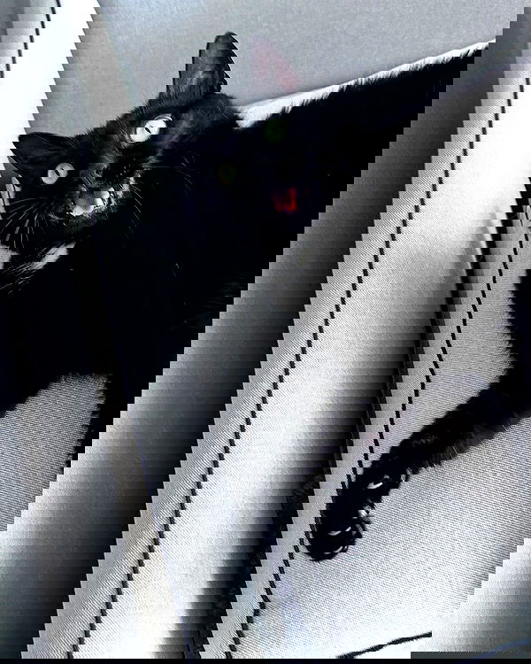 tutiiiiii666 tutiiiiii666 archive image