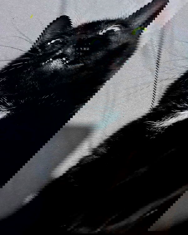 tutiiiiii666 tutiiiiii666 archive image