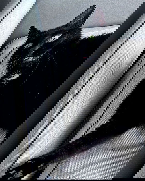 tutiiiiii666 tutiiiiii666 archive image