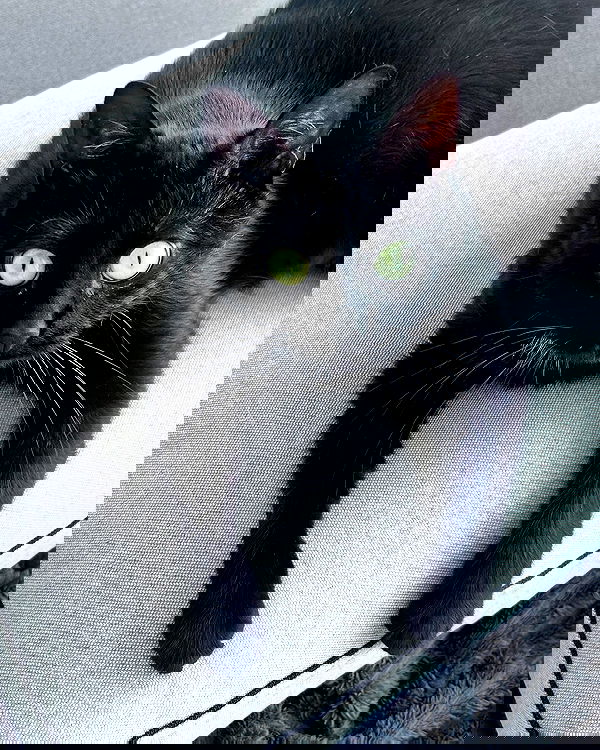 tutiiiiii666 tutiiiiii666 archive image