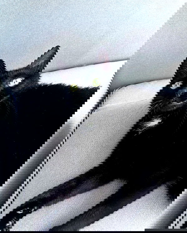 tutiiiiii666 tutiiiiii666 archive image