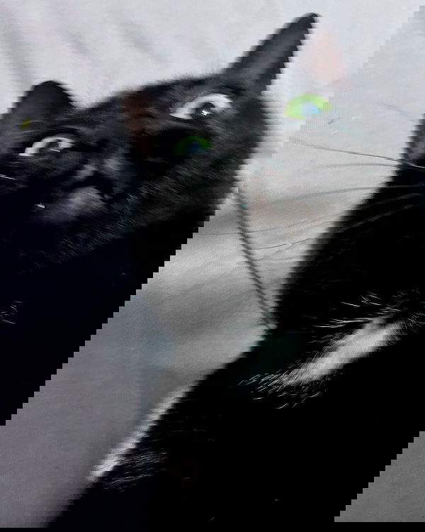 tutiiiiii666 tutiiiiii666 archive image