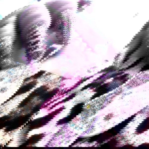 tutiiiiii666 tutiiiiii666 archive image