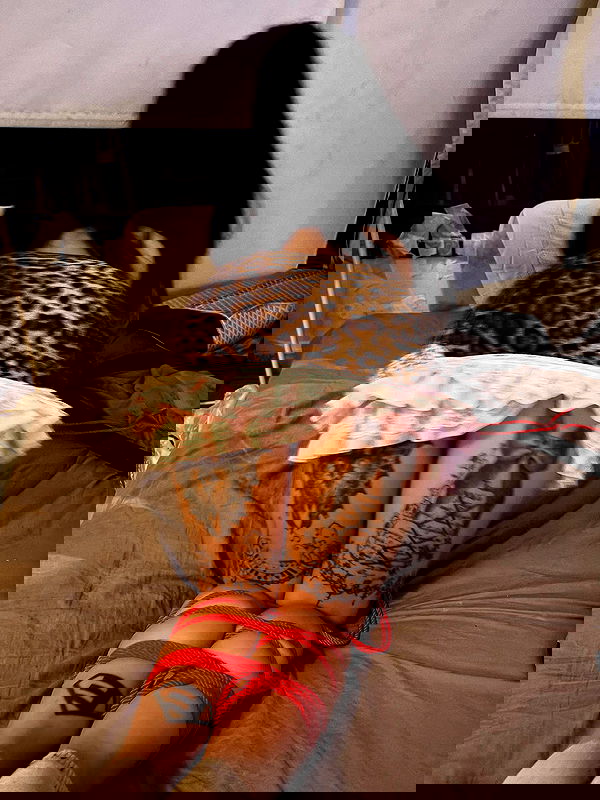 tutiiiiii666 tutiiiiii666 archive image