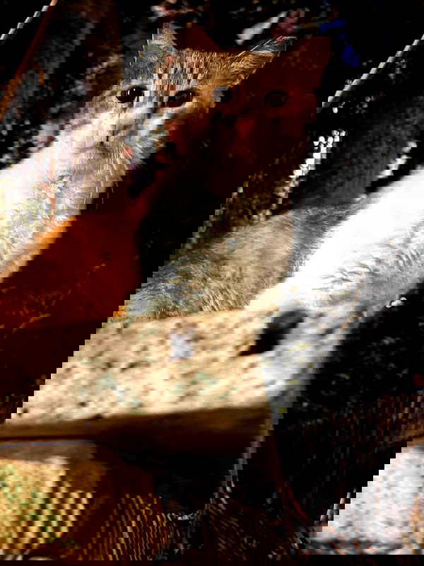 tutiiiiii666 tutiiiiii666 archive image