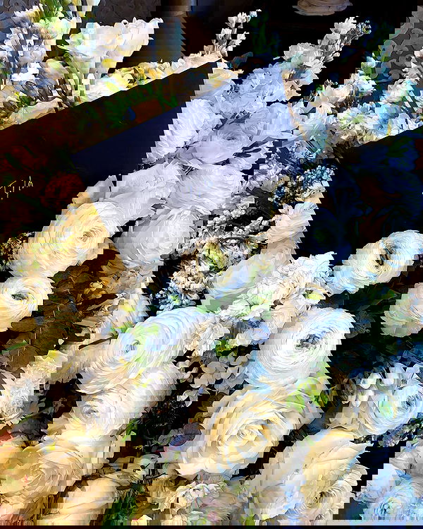 tyla tyla archive image