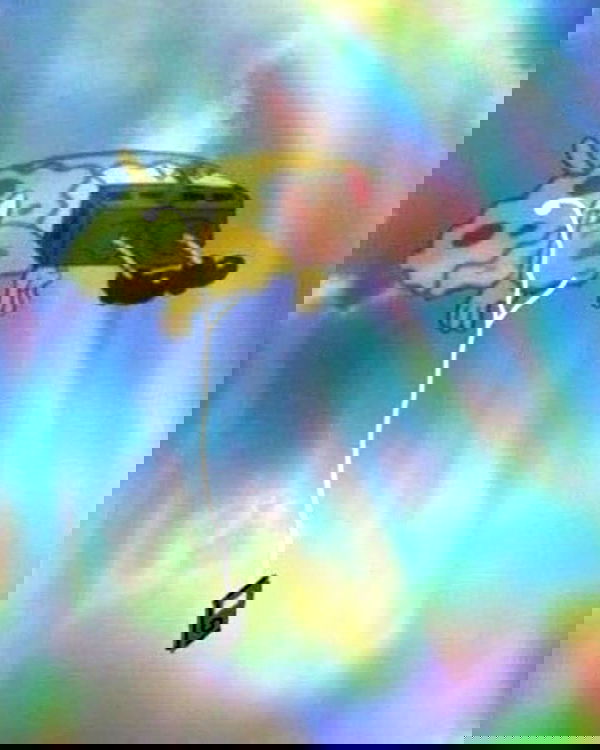 tyla tyla archive image