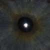 ulianallun Altpins Profile Picture