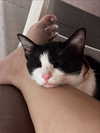 umekoj0910_ Altpins Profile Picture