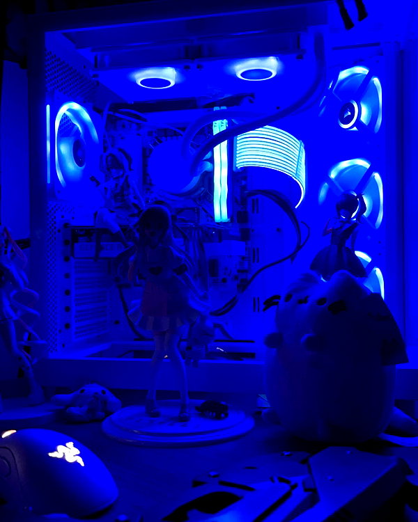 umiitenshi instagram image archive image