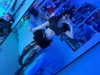 umiitenshi Altpins Profile Picture