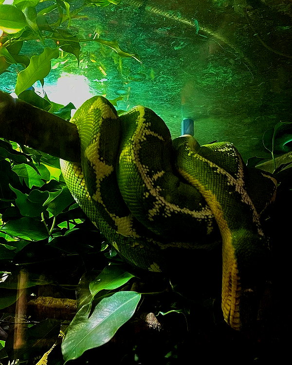 umitsbeee umitsbeee archive image