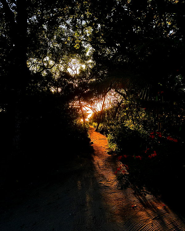 umitsbeee instagram image archive image