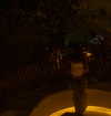 umitsbeee Altpins Profile Picture