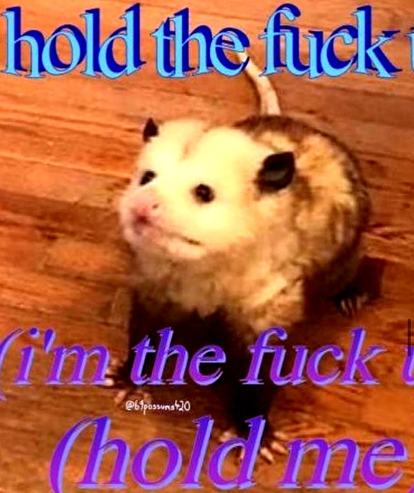 urgfmilki instagram image archive image