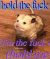 urgfmilki Altpins Profile Picture