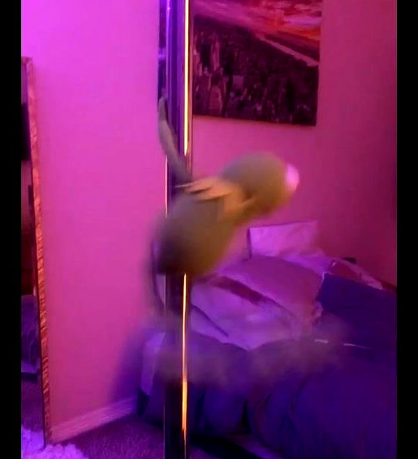 urgfmilki instagram image archive image