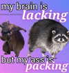 urgfmilki Altpins Profile Picture