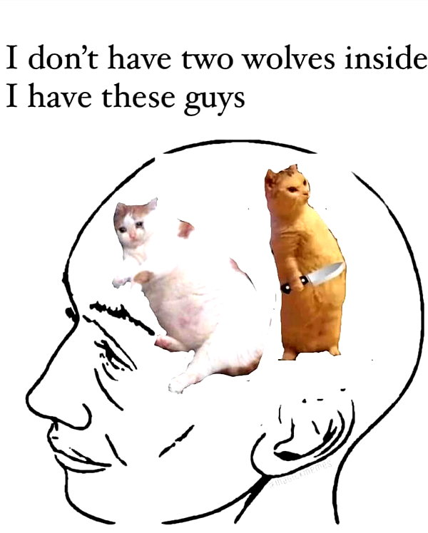 urgfmilki instagram image archive image