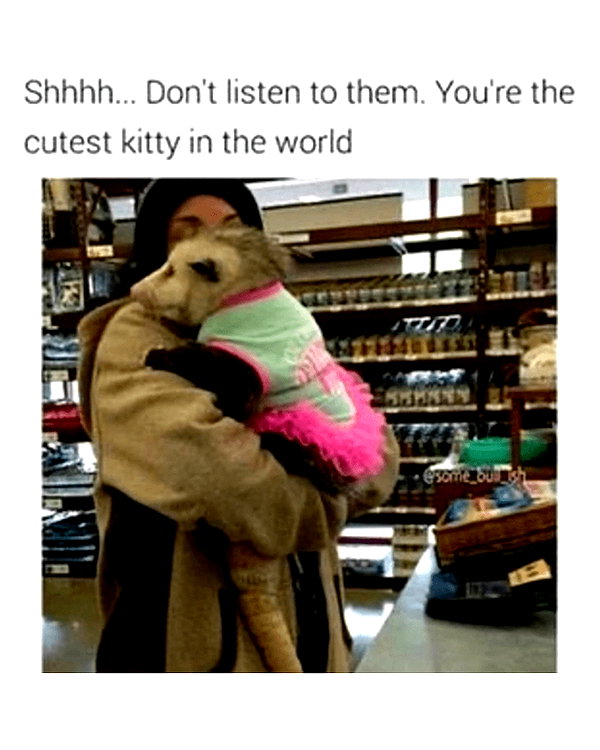 urgfmilki instagram image archive image