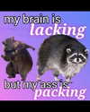 urgfmilki Altpins Profile Picture