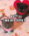 urgfmilki Altpins Profile Picture